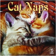 2013 CAT NAPS 16 MONTH CALENDAR
