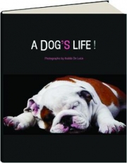 A DOG'S LIFE!