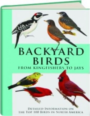 BACKYARD BIRDS FROM KINGFISHERS TO JAYS: Detailed Information on the Top 100 Birds in North America