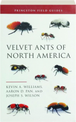 VELVET ANTS OF NORTH AMERICA: Princeton Field Guides