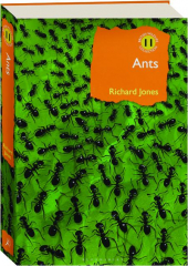 ANTS: The Ultimate Social Insects