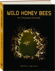 WILD HONEY BEES: An Intimate Portrait