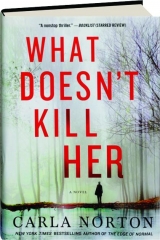 Christmas memories gifts activities fads and fancies 1920s 1960s