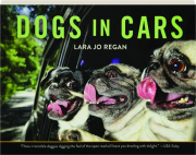 DOGS IN CARS