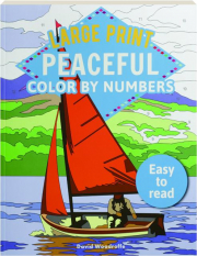 LARGE PRINT PEACEFUL COLOR BY NUMBERS