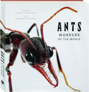 ANTS: Workers of the World