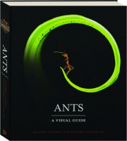 ANTS: A Visual Guide