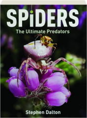 SPIDERS: The Ultimate Predators