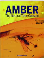 AMBER: The Natural Time Capsule