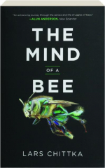 THE MIND OF A BEE