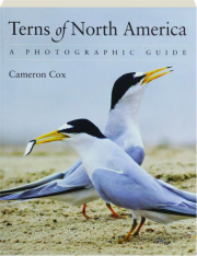 TERNS OF NORTH AMERICA: A Photographic Guide