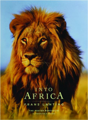 INTO AFRICA: The Poster Portfolio