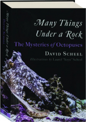 MANY THINGS UNDER A ROCK: The Mysteries of Octopuses