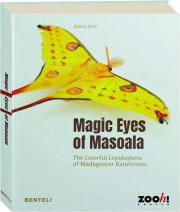MAGIC EYES OF MASOALA: The Colorful Lepidoptera of Madagascar Rainforests