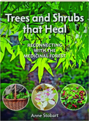 TREES AND SHRUBS THAT HEAL: Reconnecting with the Medicinal Forest