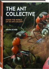 THE ANT COLLECTIVE: Inside the World of an Ant Colony