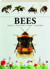 BEES: Social, Solitary, Hives, Anatomy