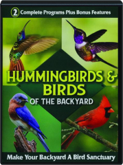 HUMMINGBIRDS & BIRDS OF THE BACKYARD