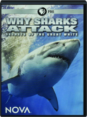 WHY SHARKS ATTACK: NOVA