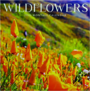 2025 WILDFLOWERS CALENDAR