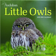 2025 AUDUBON LITTLE OWLS MINI CALENDAR