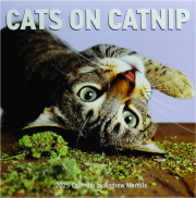 2025 CATS ON CATNIP CALENDAR