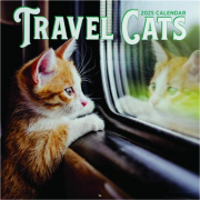 2025 TRAVEL CATS CALENDAR