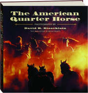 THE AMERICAN QUARTER HORSE