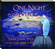 ONE NIGHT IN THE EVERGLADES