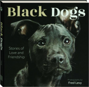 BLACK DOGS: Stories of Love and Friendship