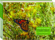 WINGS IN THE LIGHT: Wild Butterflies in North America