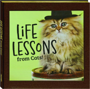 LIFE LESSONS FROM CATS!