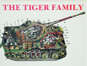 THE TIGER FAMILY