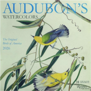 2026 AUDUBON'S WATERCOLORS CALENDAR: The Original Birds of America