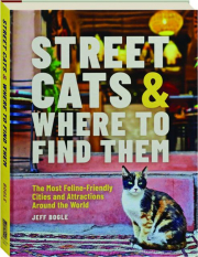 STREET CATS & WHERE TO FIND THEM: The Most Feline-Friendly Cities and Attractions Around the World