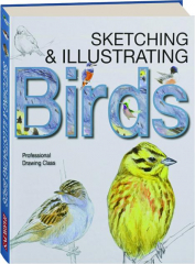 SKETCHING & ILLUSTRATING BIRDS: Professional Drawing Class