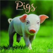 2026 PIGS CALENDAR
