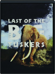 LAST OF THE BIG TUSKERS