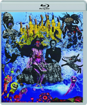 WHEN BLACK BIRDS FLY