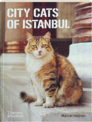 CITY CATS OF ISTANBUL