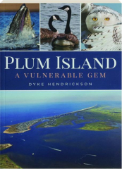 PLUM ISLAND: A Vulnerable Gem
