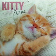 2026 KITTY NAPS CALENDAR
