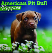 2026 AMERICAN PIT BULL TERRIER PUPPIES CALENDAR