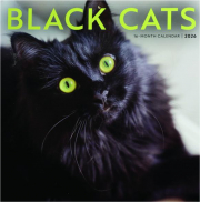 2026 BLACK CATS CALENDAR