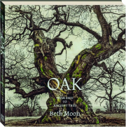 OAK: From Seed to Ancient Tree