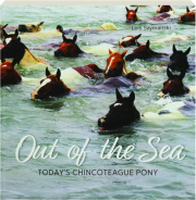 OUT OF THE SEA: Today's Chincoteague Pony