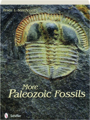 MORE PALEOZOIC FOSSILS