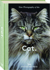 NEW PHOTOGRAPHY OF THE CAT