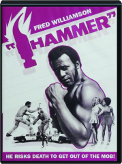 THE HAMMER