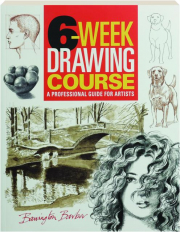 6-WEEK DRAWING COURSE: A Professional Guide for Artists